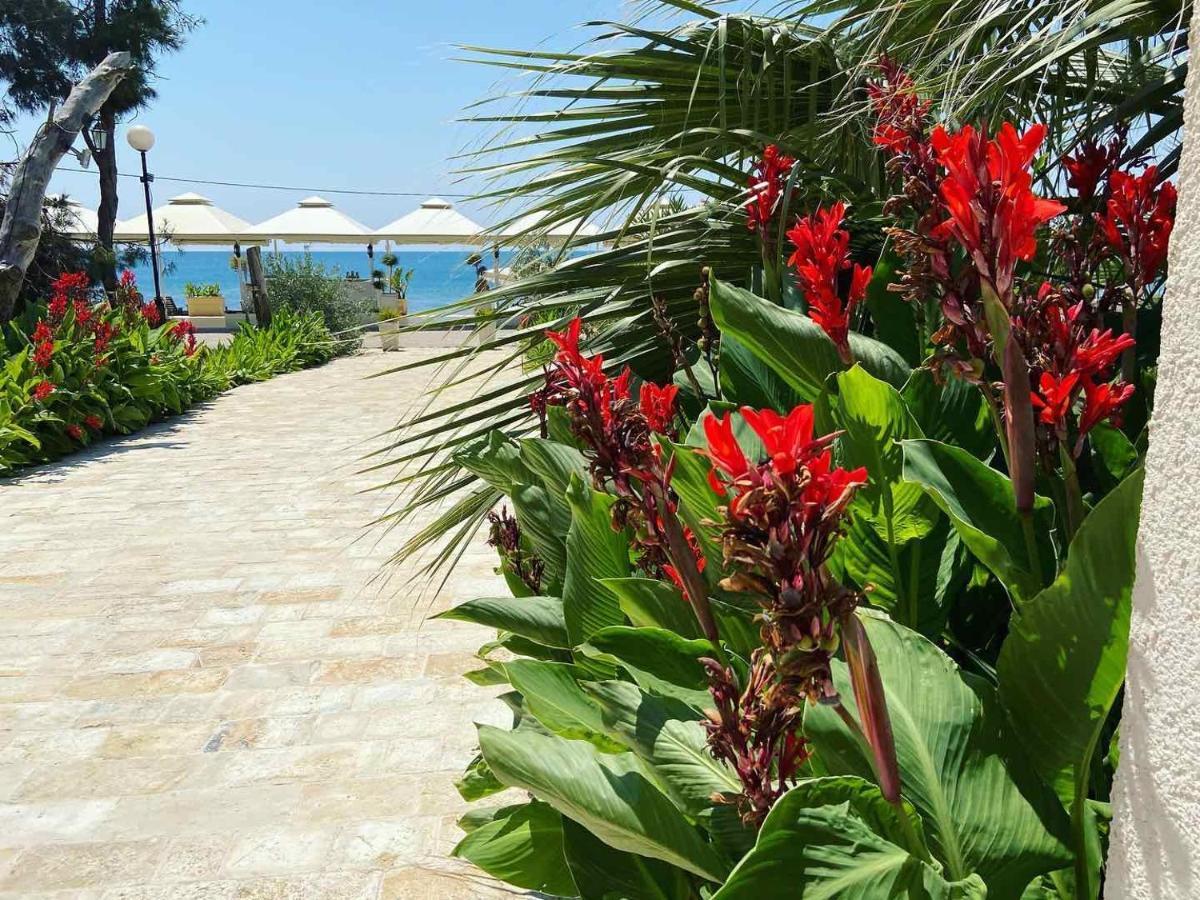 Apartments Kuce Lekovica Beach & Snack Bar- Bistro Exteriér fotografie